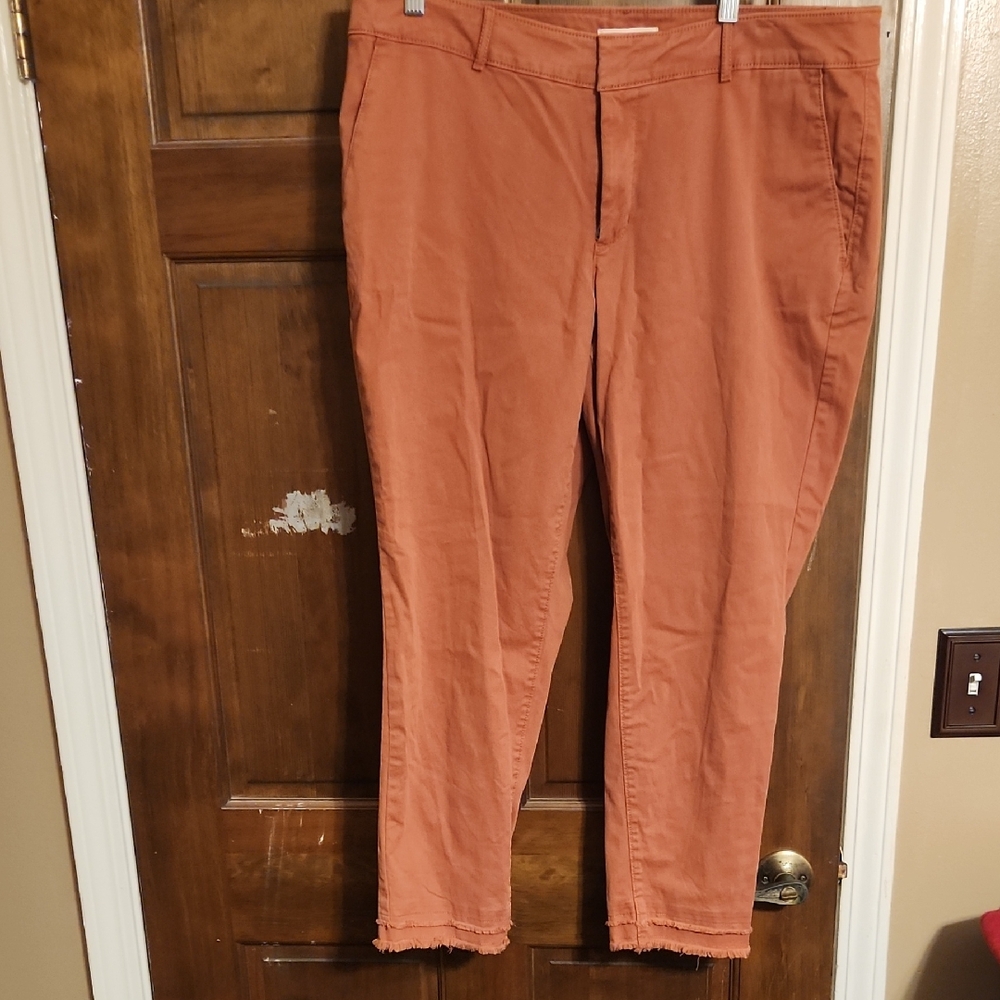 LOFT Womens Terracotta Pants